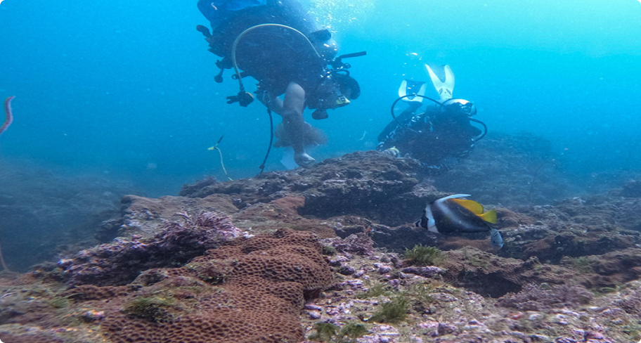 foundation Coastal Impact